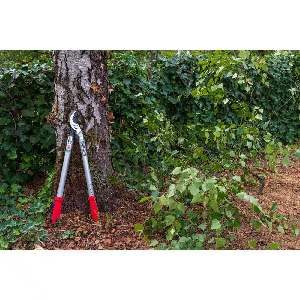 24 In. Lopping Shear, Bypass