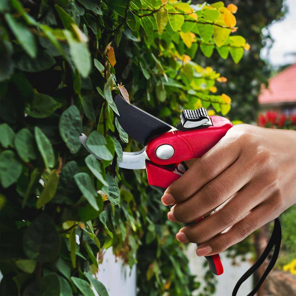 Professional Stainless Steel Heavy-Duty Red Garden Bypass Pruning Shears