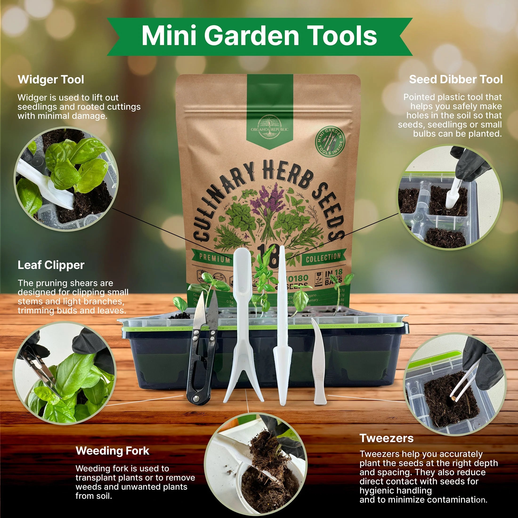 18 Culinary Herbs Seeds Variety Pack - 10,180+ Heirloom, Non-Gmo, Herbs Seeds