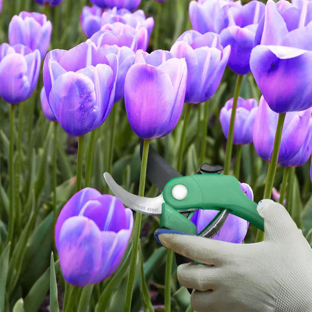 Professional Stainless Steel Heavy-Duty Garden Bypass Pruning Shears